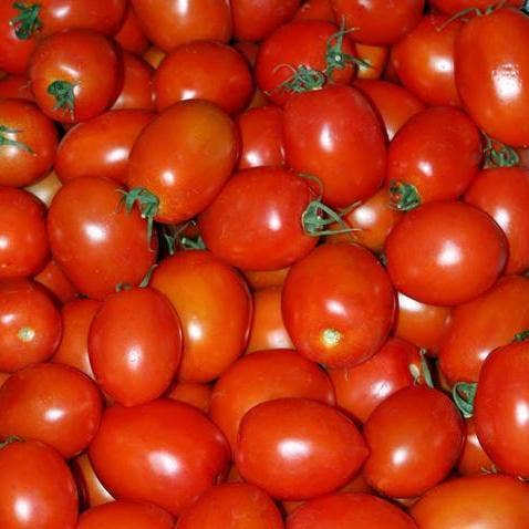 Paste Tomato Seeds - Amish Paste, ORGANIC