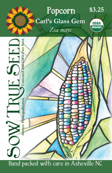 Flint Corn Seeds - Carl's Glass Gem